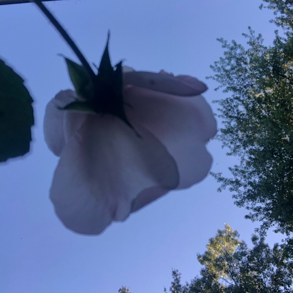 Make reasonable offer - Picture 6 of 15